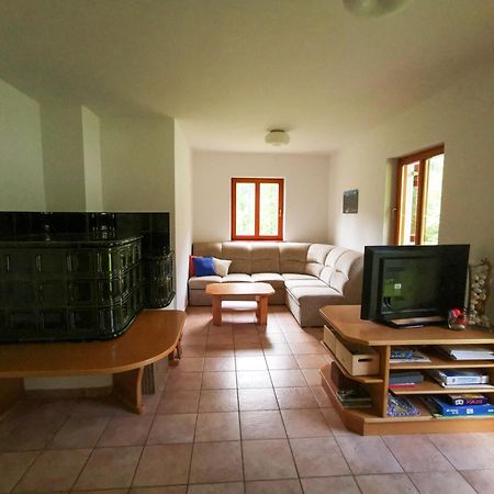 Soca House With A View - Lepena Valley エクステリア 写真