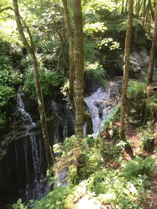 Soca House With A View - Lepena Valley エクステリア 写真
